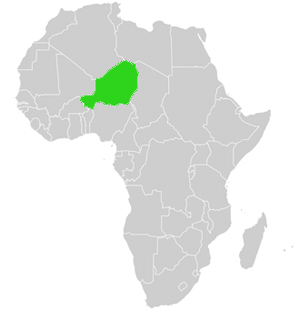 Niger Lage Afrika